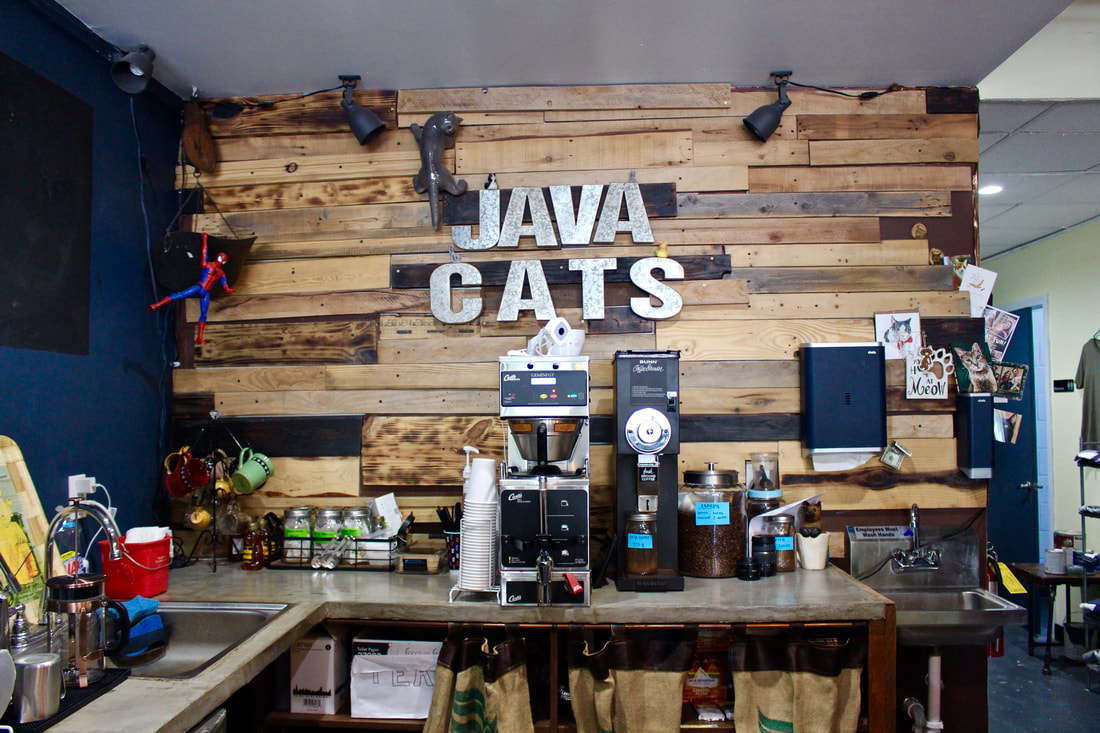 Java Cats Cafe Atlanta Georgia